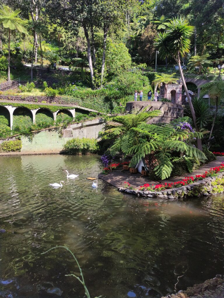 Ogród Tropikalny Monte Palace w Funchal na Maderze