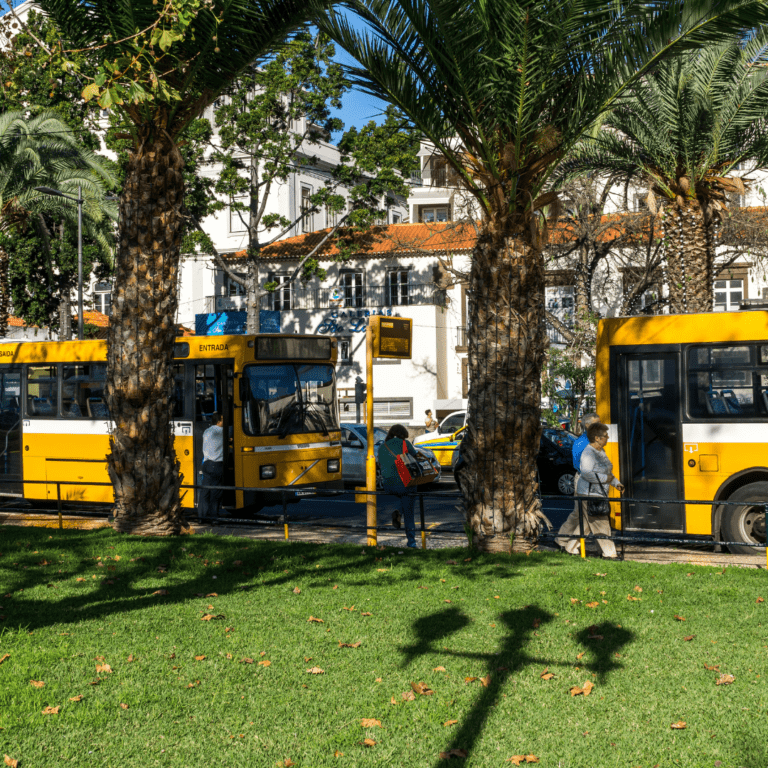 Autobusem po Maderze - przewodnik po lokalnej komunikacji na Maderze