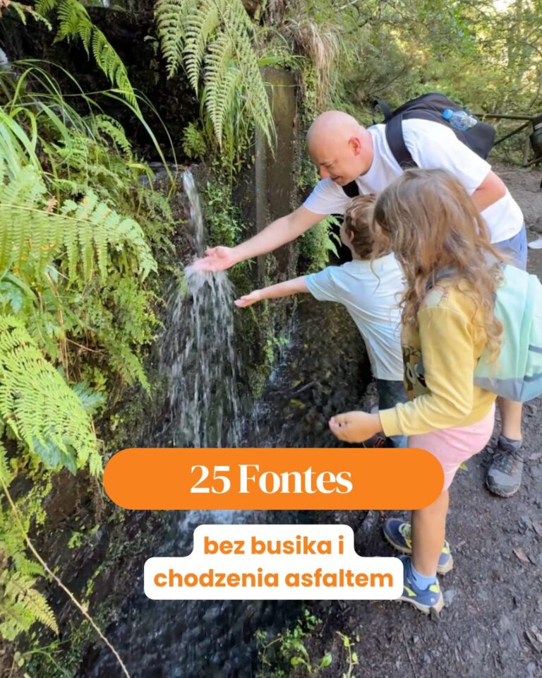 25 Fontes bez busika i chodzenia asfaltem